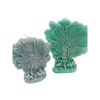 
              Coral Candle- Set of 2
            