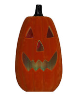 
              22" Pre-Lit Neon Flocked Pumpkin- Orange
            