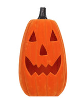 
              22" Pre-Lit Neon Flocked Pumpkin- Orange
            