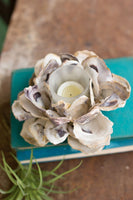 
              Oyster Shell Flower Votive Holder
            