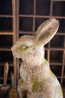 
              Faux Concrete Rabbit with Head Forward
            