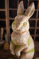 
              Faux Concrete Rabbit with Head Forward
            