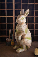 
              Faux Concrete Rabbit with Head Forward
            